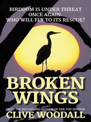 cover image of Broken Wings